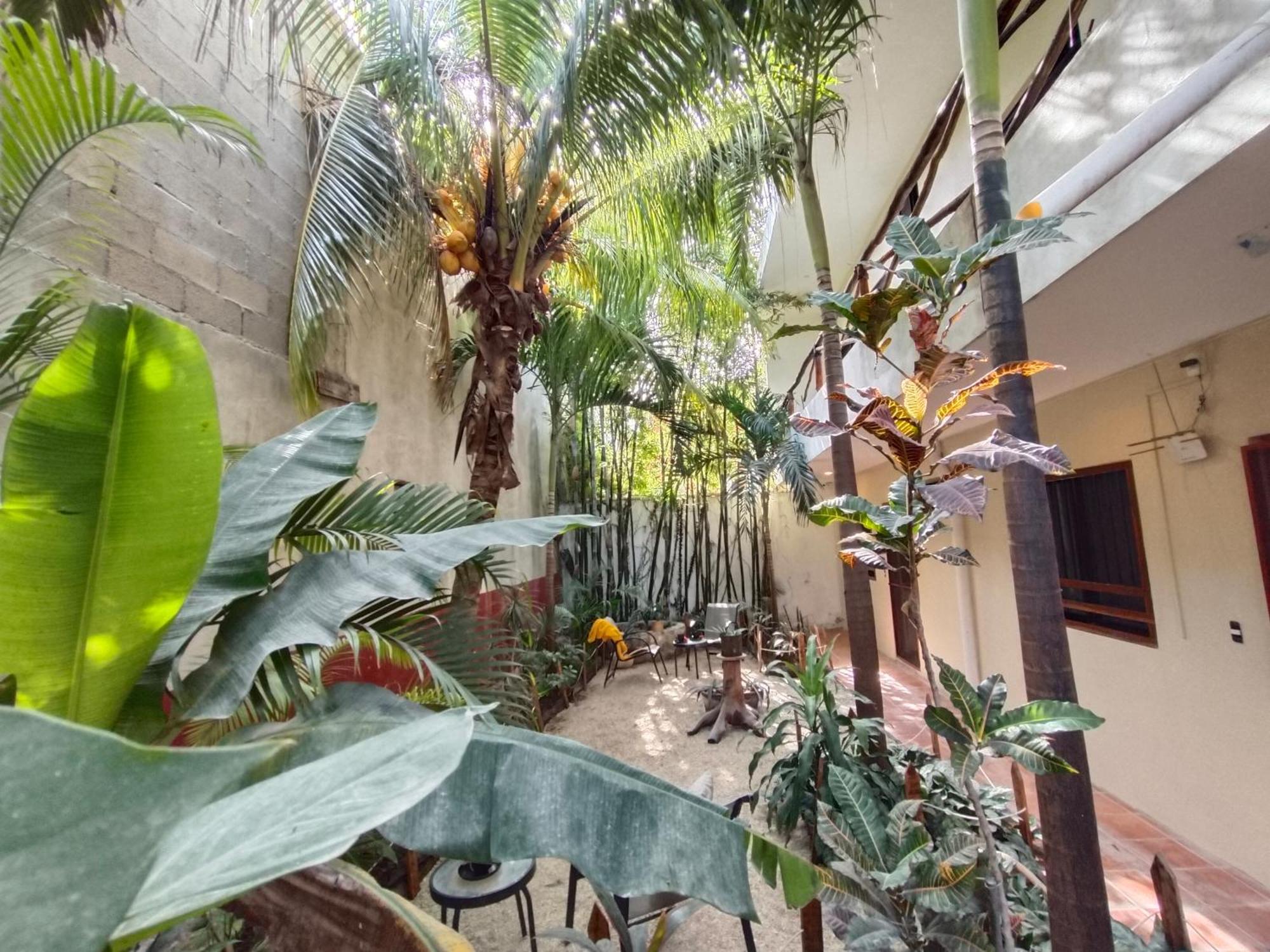 Casa Lupita Ξενοδοχείο Τουλούμ Εξωτερικό φωτογραφία