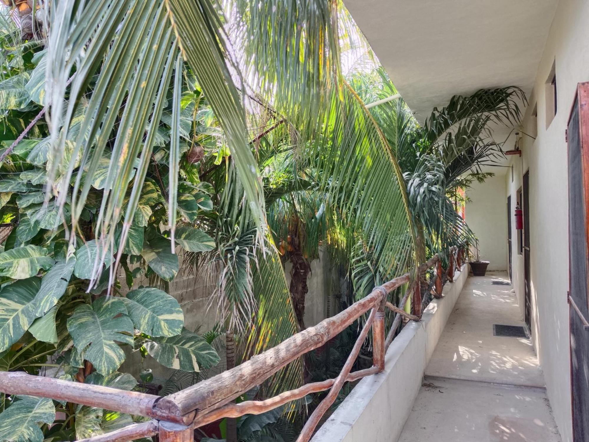 Casa Lupita Ξενοδοχείο Τουλούμ Εξωτερικό φωτογραφία